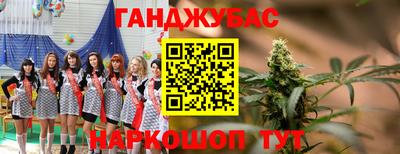 крисы Партизанск