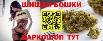 крисы Партизанск
