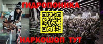 прущие крисы Пенза