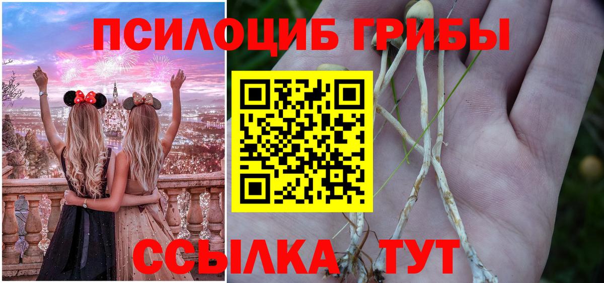 Псилоцибиновые грибы Psilocybine cubensis Углич