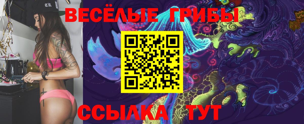 продажа наркотиков  Псилоцибиновые грибы Psilocybe  Вход с VPN  Псилоцибиновые грибы мицелий  Углич 