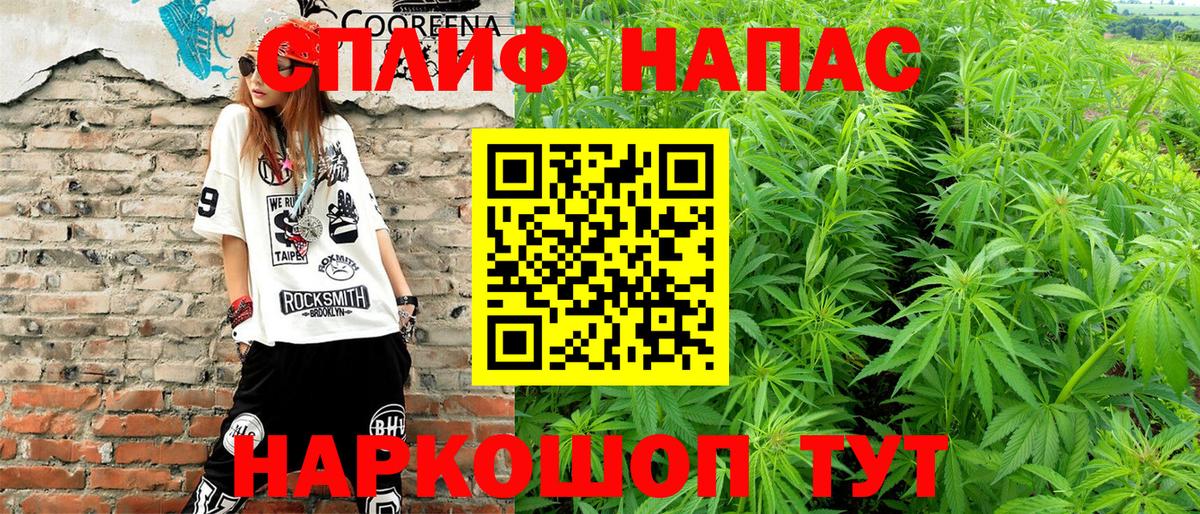 Конопля THC 21%  Вход с VPN  Углич  Каннабис планчик 